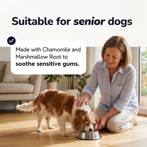 Breath Buddy™ — Dog Teeth Cleaning Powder