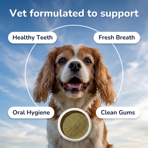 Breath Buddy™ — Dog Teeth Cleaning Powder