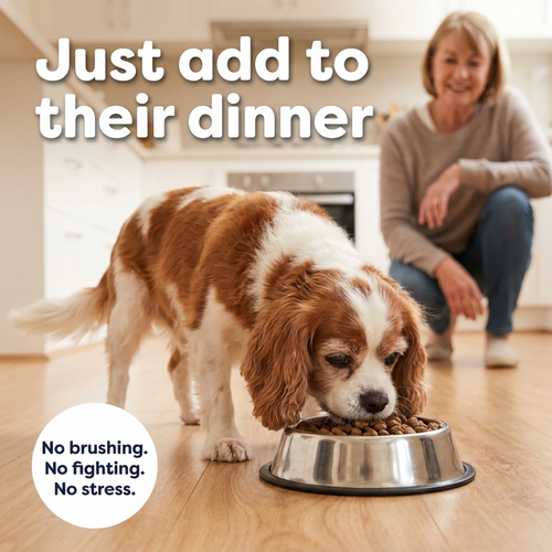 Breath Buddy™ — Dog Teeth Cleaning Powder