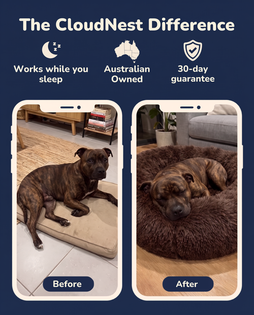 Qwink Donut Bed