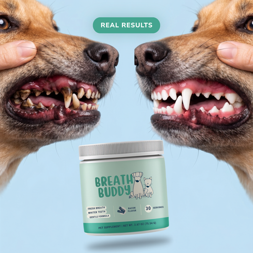 Pet Oral Care Powder Dog Teeth-Cleaning Powder