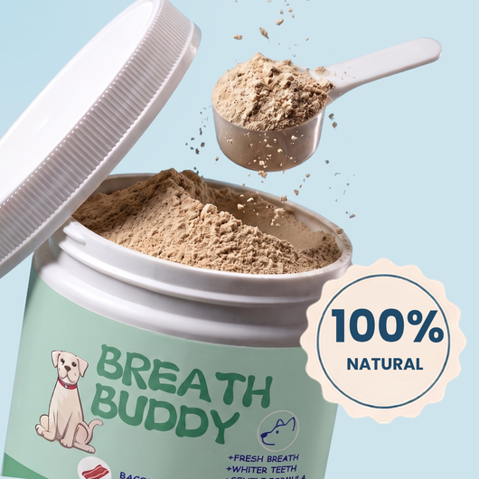 Breath Buddy™ — Dog Teeth Cleaning Powder