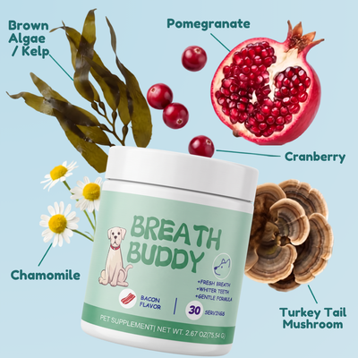 Breath Buddy™ — Dog Teeth Cleaning Powder