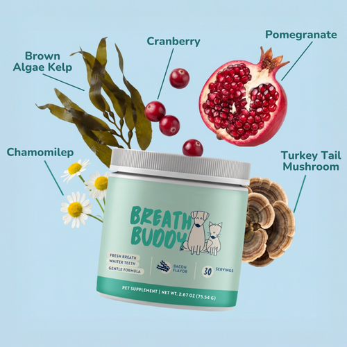 Pet Oral Care Powder Dog Teeth-Cleaning Powder