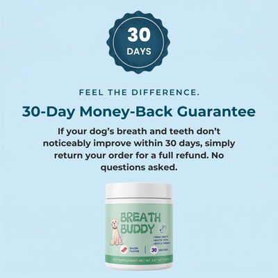 Breath Buddy™ — Dog Teeth Cleaning Powder