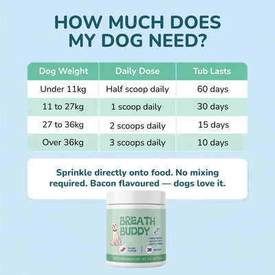 Breath Buddy™ — Dog Teeth Cleaning Powder