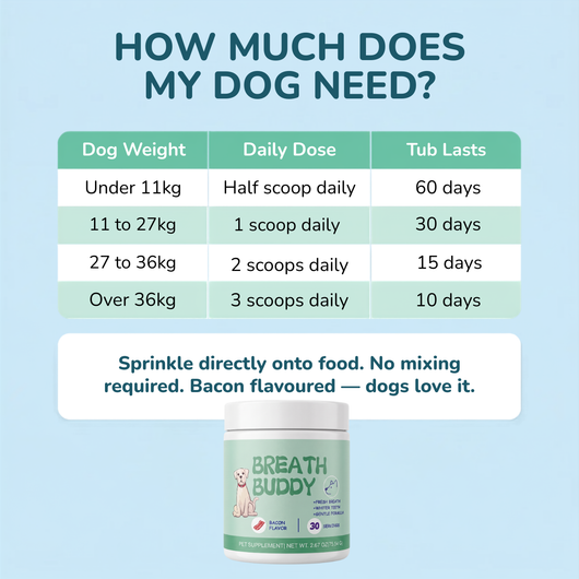 Breath Buddy™ — Dog Teeth Cleaning Powder