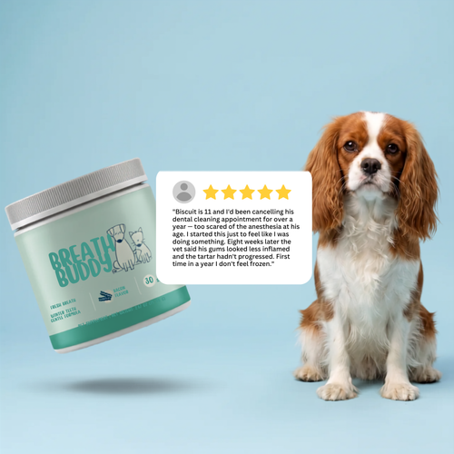 Pet Oral Care Powder Dog Teeth-Cleaning Powder