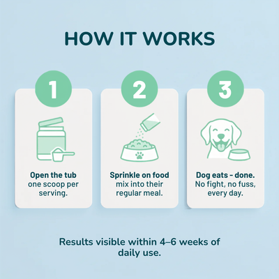 Breath Buddy™ — Dog Teeth Cleaning Powder