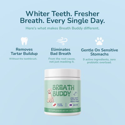 Breath Buddy™ — Dog Teeth Cleaning Powder