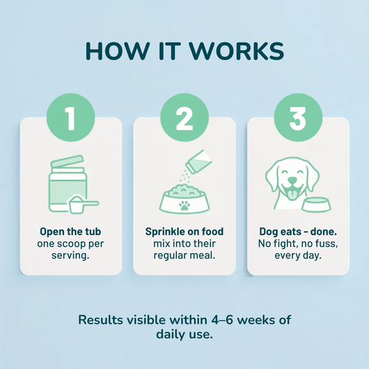 Breath Buddy™ — Dog Teeth Cleaning Powder