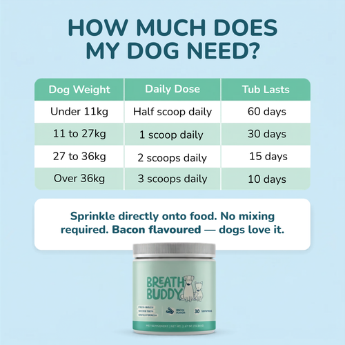Pet Oral Care Powder Dog Teeth-Cleaning Powder