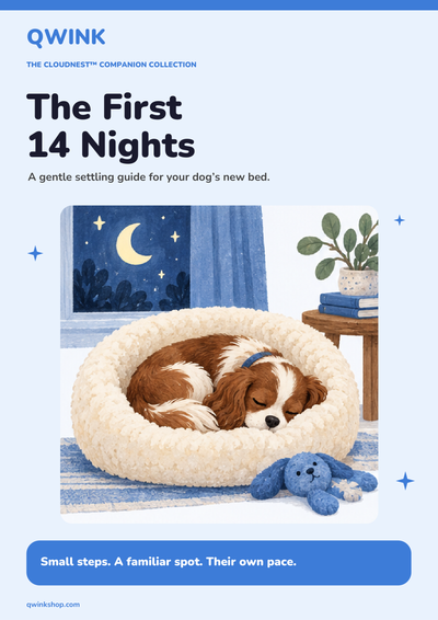 14 Night Settling Guide