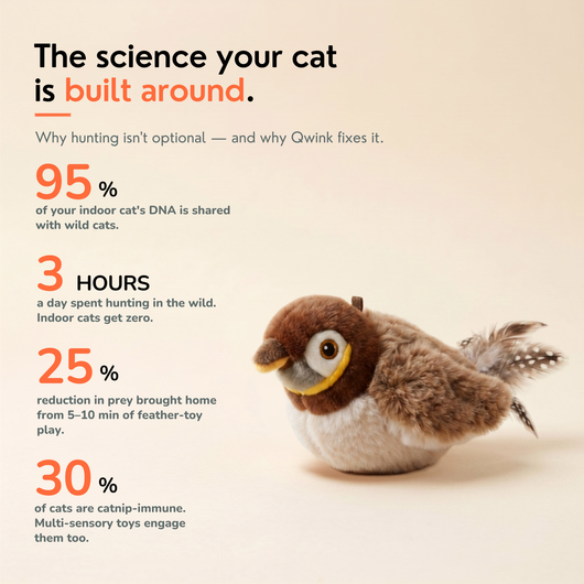 The Flapping Bird — Interactive Cat Toy