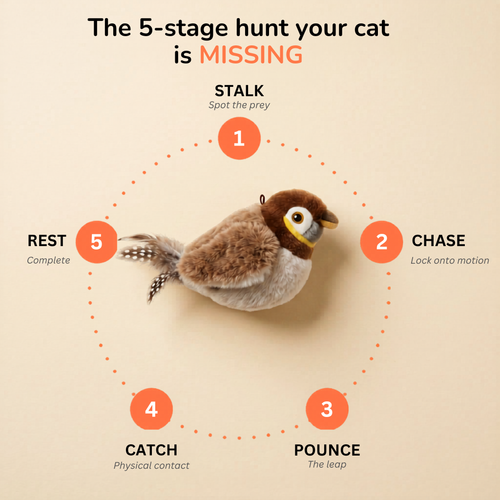 The Flapping Bird — Interactive Cat Toy