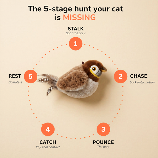 The Flapping Bird — Interactive Cat Toy