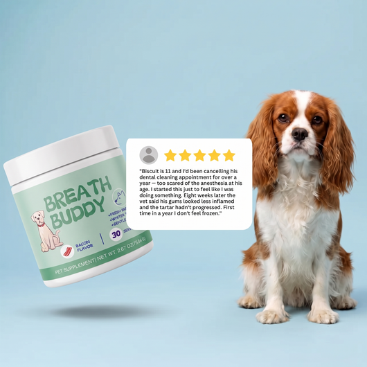 Breath Buddy™ — Dog Teeth Cleaning Powder