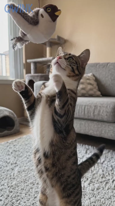 The Flapping Bird — Interactive Cat Toy