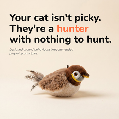 The Flapping Bird — Interactive Cat Toy