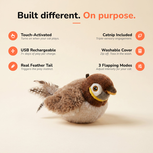 The Flapping Bird — Interactive Cat Toy