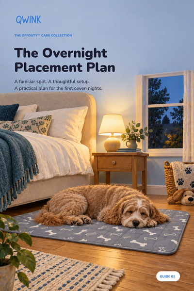 overnight-placement-plan